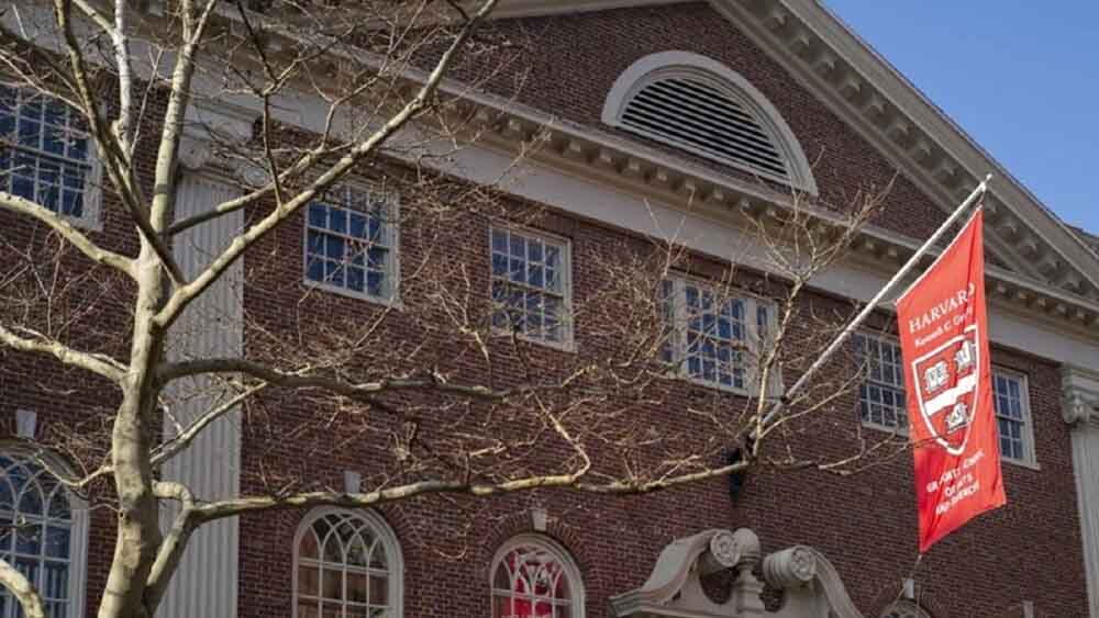 red latina stl, red latina periodico, estudiantes, harvard